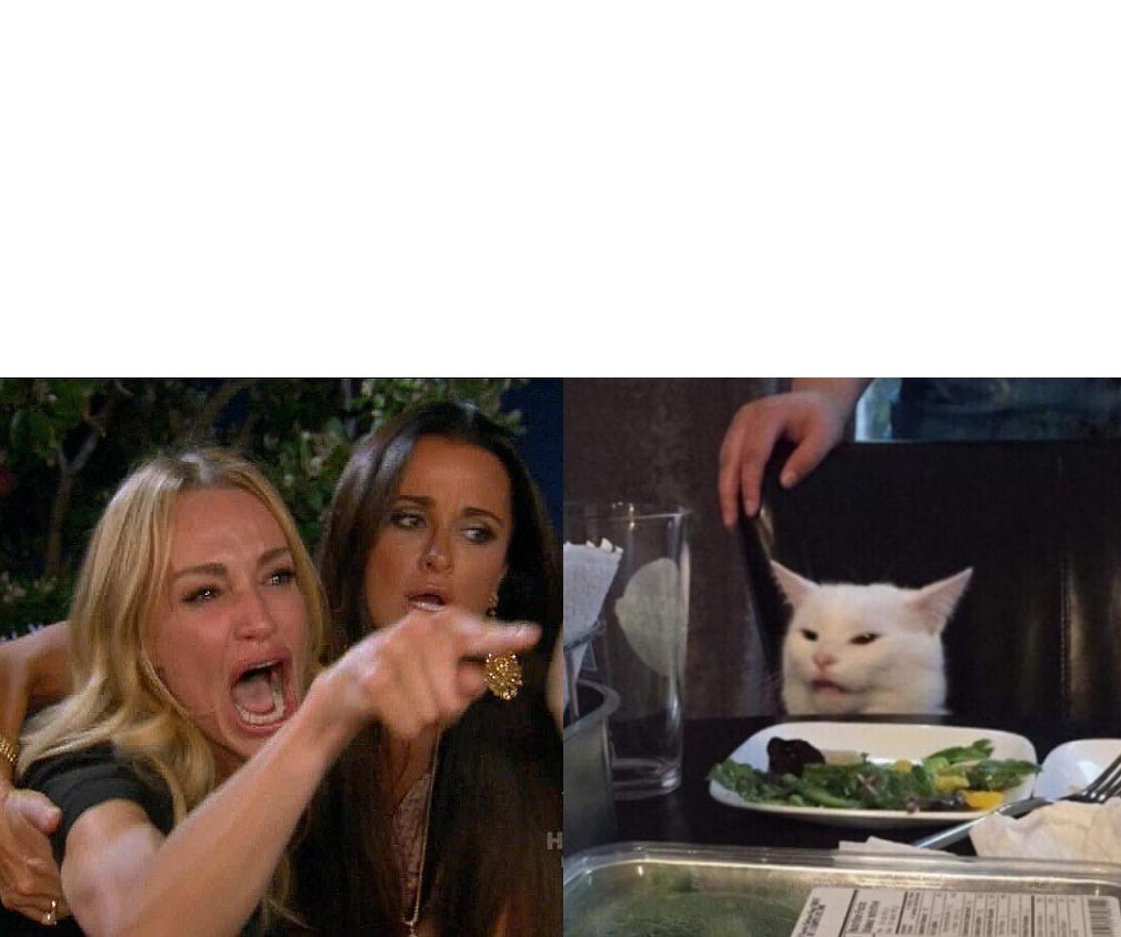 Woman Yelling at Cat